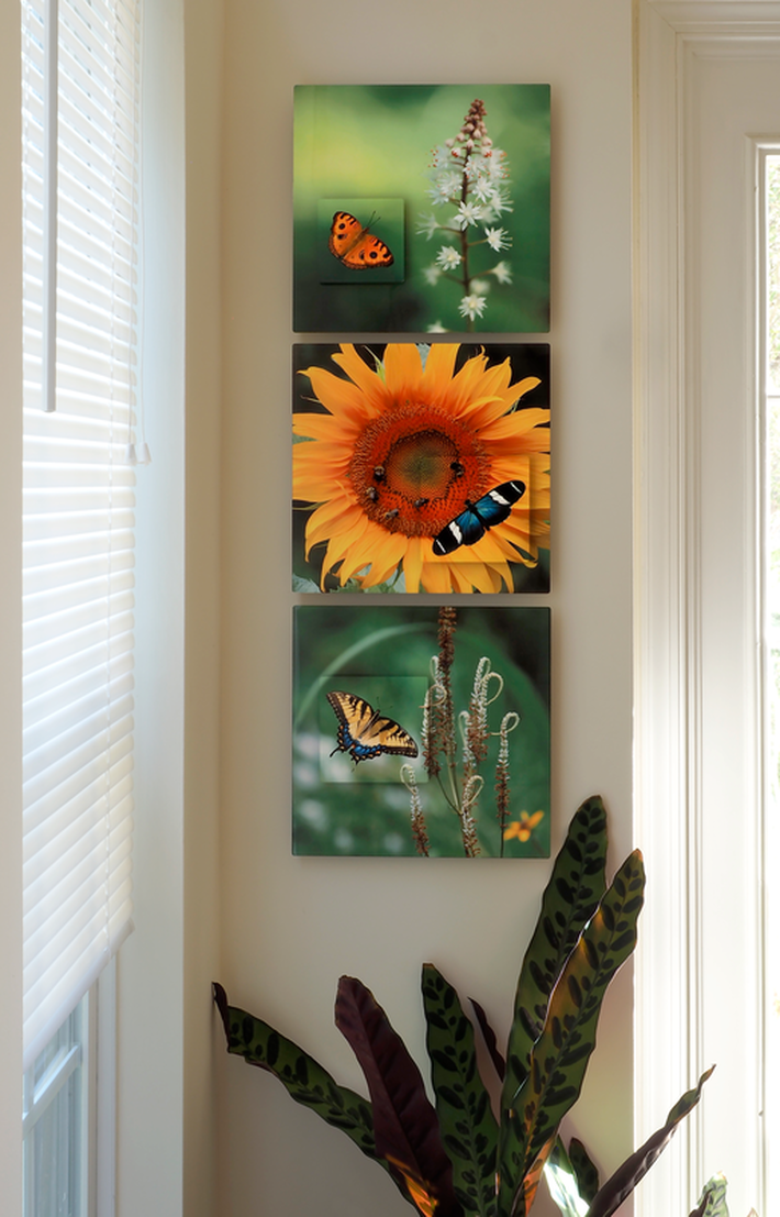 3 images in aluminum all featuring butterflys in a small hallway setting
