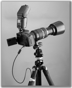 Photograph of a camera, flash, long lens on a tripod